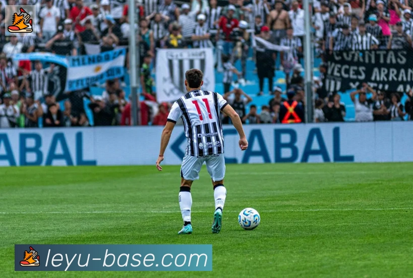 乐鱼leyu品牌故事