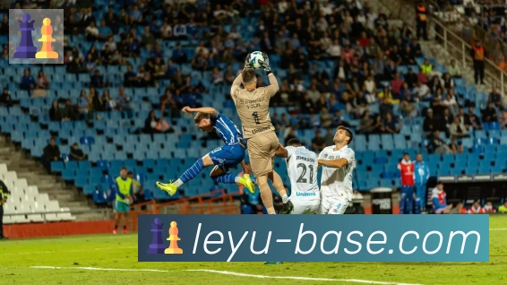 乐鱼leyu服务体系