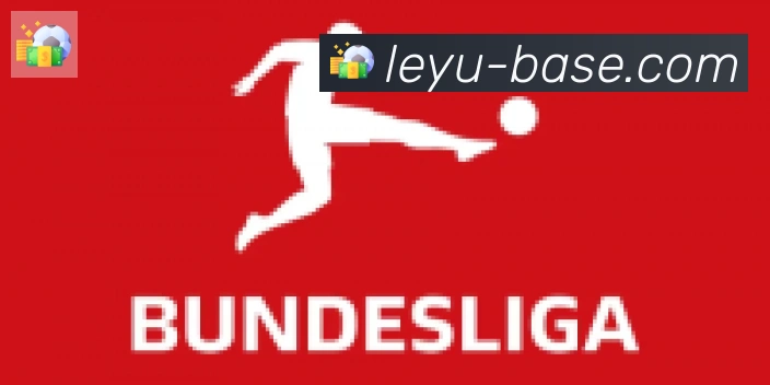 乐鱼leyu合作伙伴